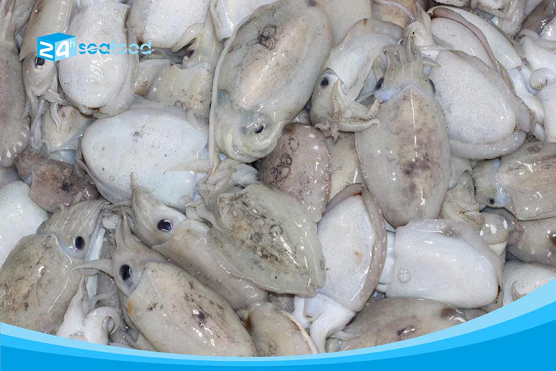 nguyên liệu mực nang size nhỏ (mực nút) hàng tươi trước khi chế biến (làm sạch) và cấp công