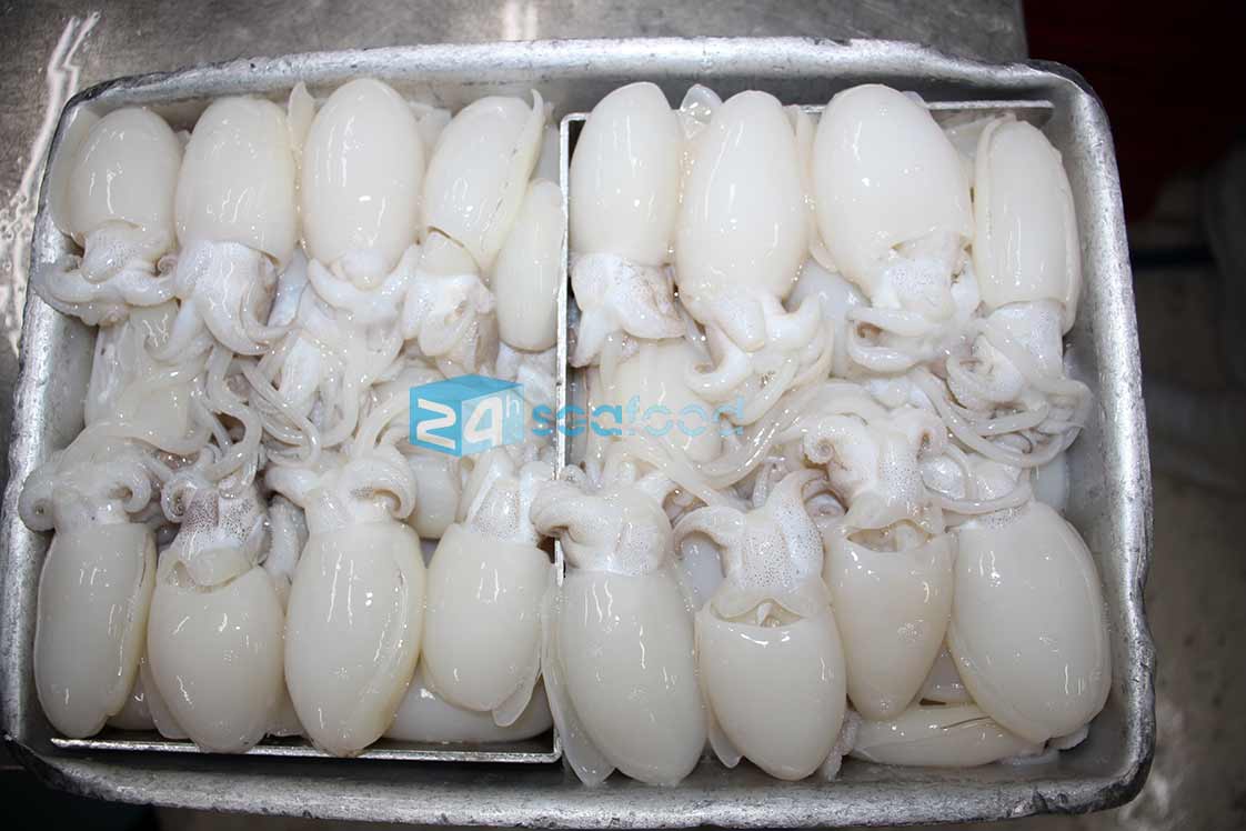 mực nang nhỏ (mực nút) được xếp vào khuôn trước khi cấp đông IQF