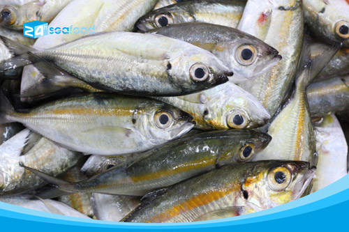 Cá trao tráo tươi tại nhà máy 24h Seafood