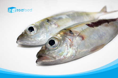 cá trao tráo do nhà máy 24h seafood sản xuất
