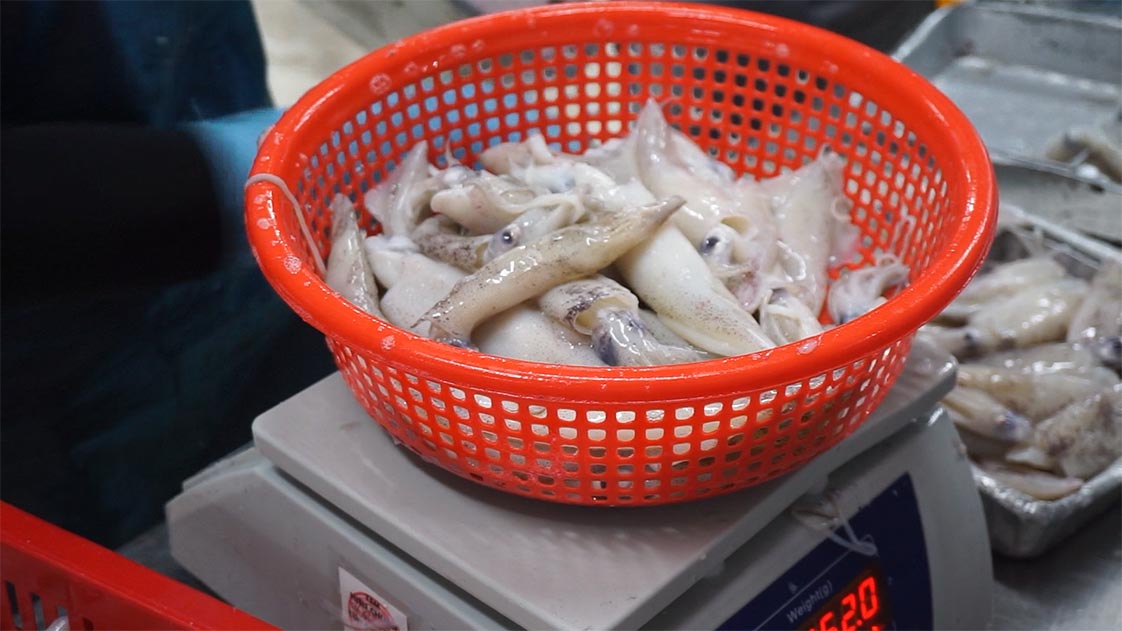 cân mực ống trước khi cấp đông