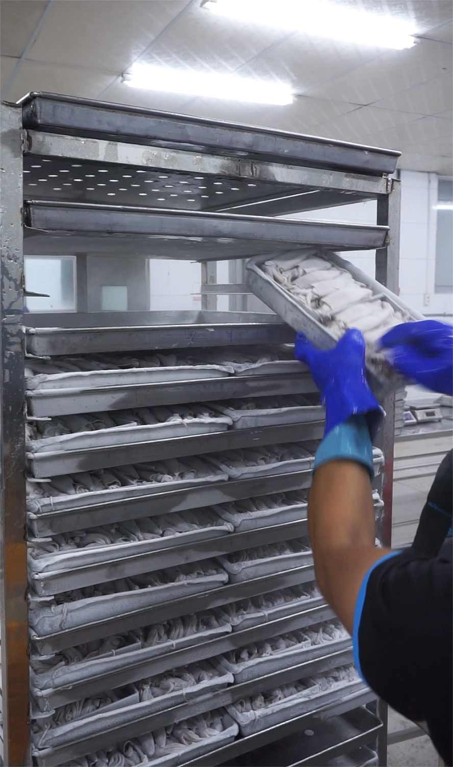 cấp đông mực ống 24hseafood