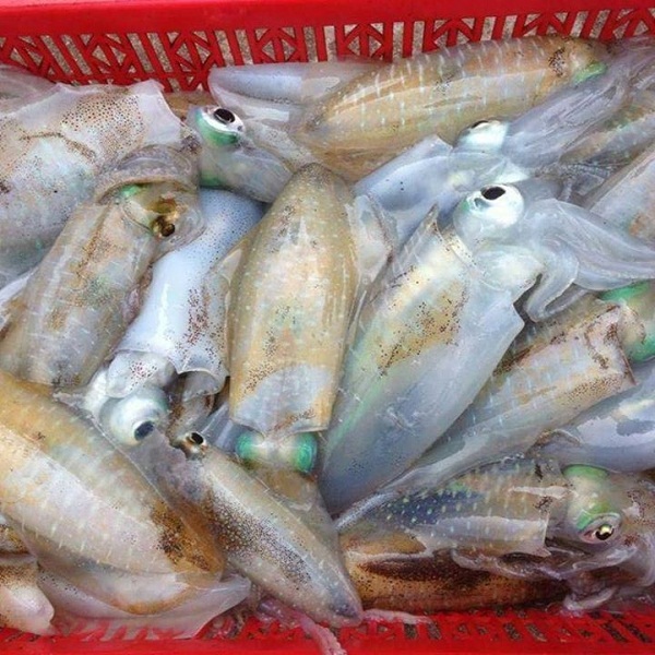 cửa hàng hải sản tươi sống hà nội