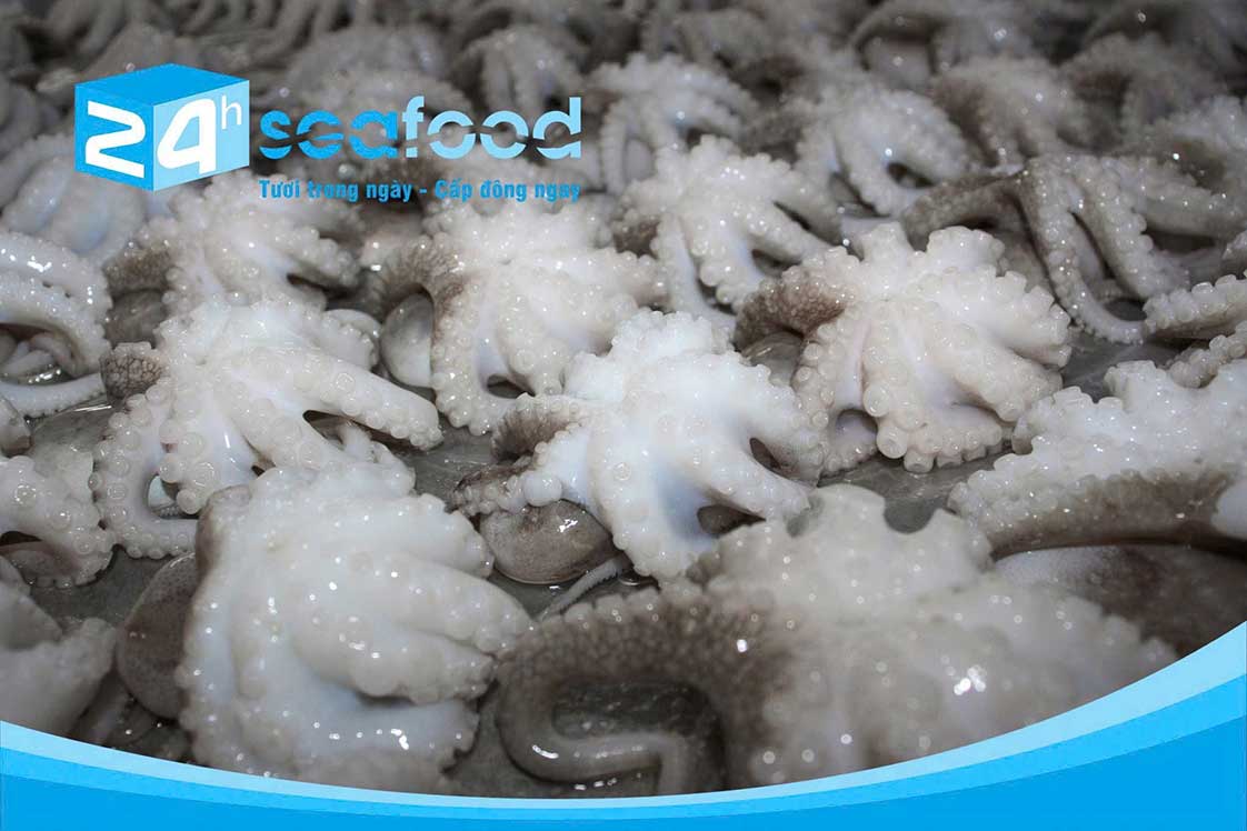 Bạch tuộc baby cấp đông IQF, 20–40 con mỗi kg