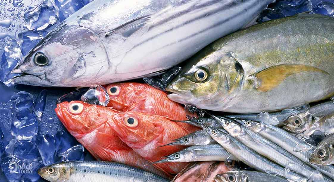 cung cấp cá biển tươi các loại theo mùa