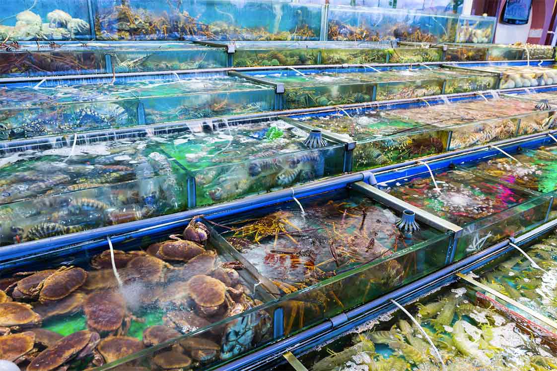 cửa hàng chuyên hải sản tươi sống