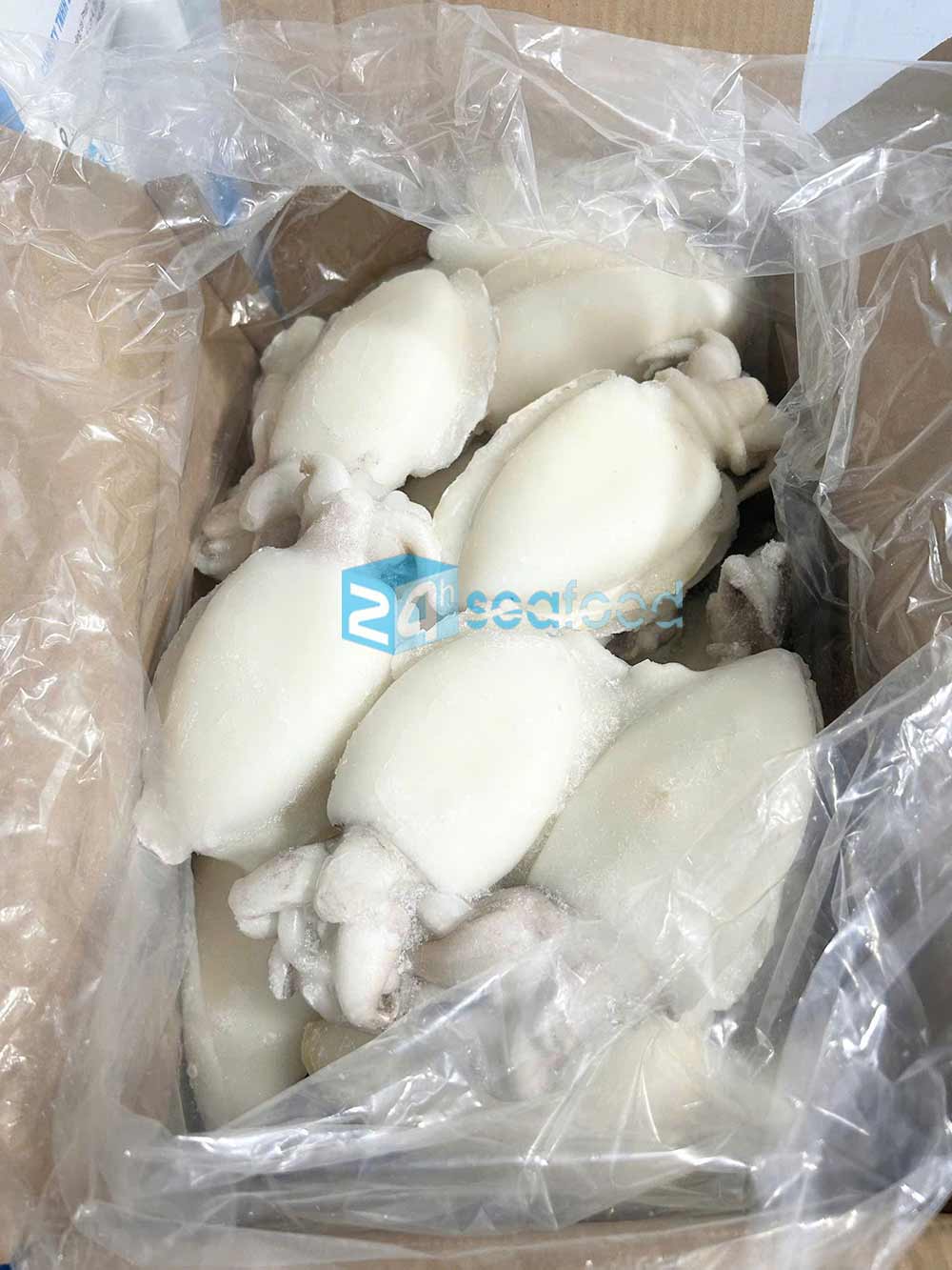 sản phẩm mực nang đông lạnh được đóng gói theo tiêu chuẩn của công ty 24hseafood
