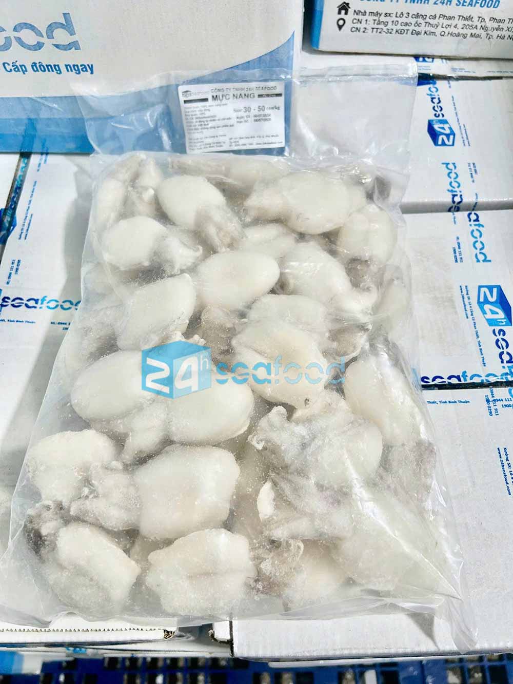 sản phẩm mực nang nút đông lạnh, hay còn gọi mực nút (mực nang size nhỏ) của nhà máy chế biến 24hseafood