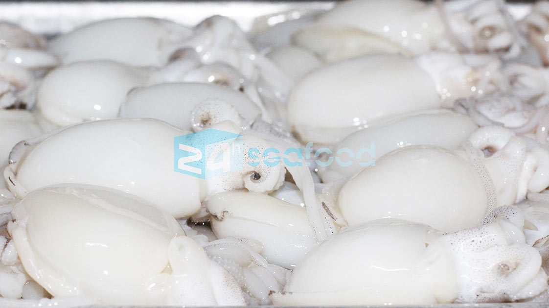 nguyên liệu cho mực nang đông lạnh size nhỏ (mực nút, mực nang nút)