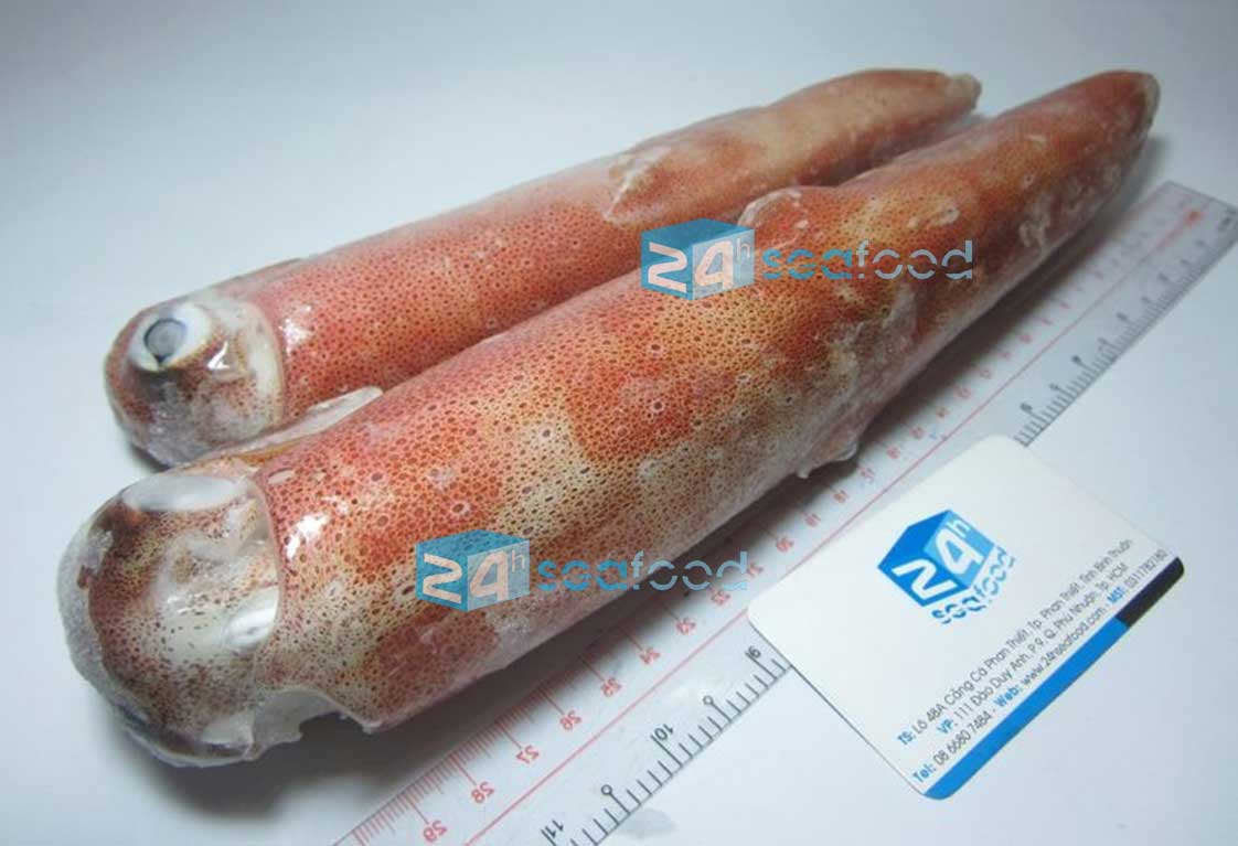 mực ống đông lạnh 24hseafood, cấp đông chuẩn IQF, nguyên liệu từ mực ống tươi sống