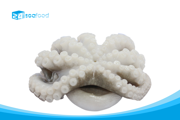 Bạch Tuộc tươi màu sắc trắng sáng