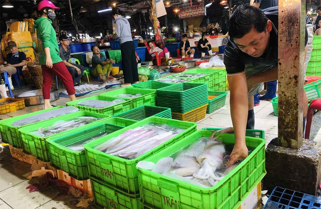 mua sỉ mực ống các loại tại các chợ đầu mối hải sản