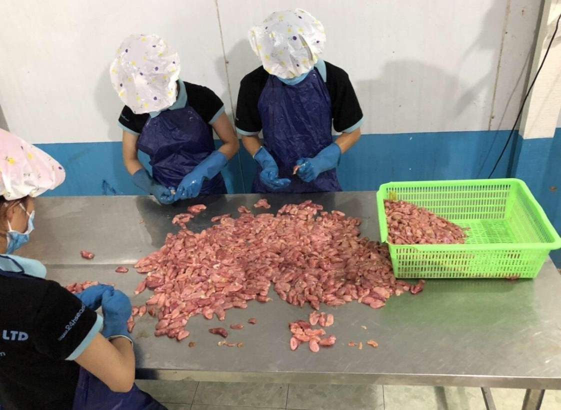 chế biến và sản xuất Bao tử cá ba sa tại nhà máy 24hseafood