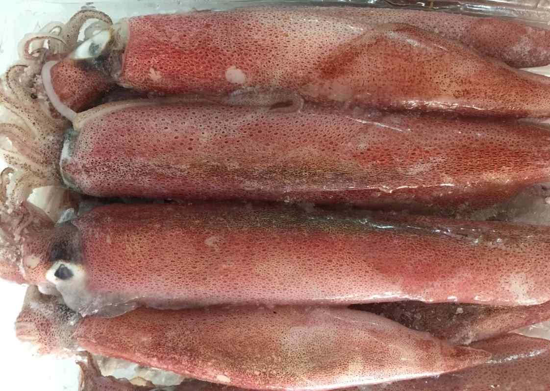 mực ống đông lạnh tiện lợi cho người dùng