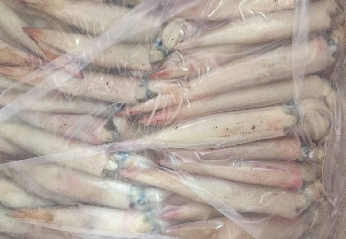 mực ống đông lạnh rẻ nhưng phải đảm bào chất lượng