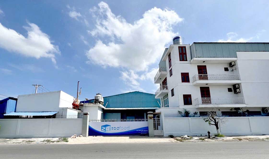 nhà máy chế biến bạch tuộc đông lạnh 24hseafood