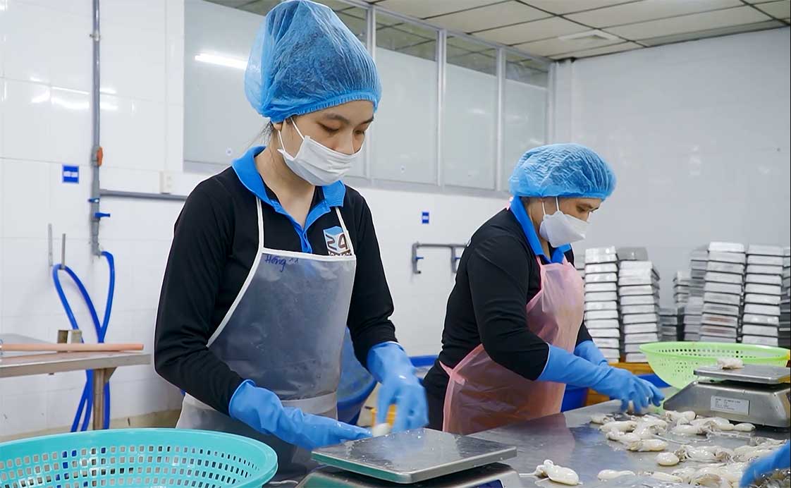 bên trong nhà máy chế biến thủy hải sản 24hseafood