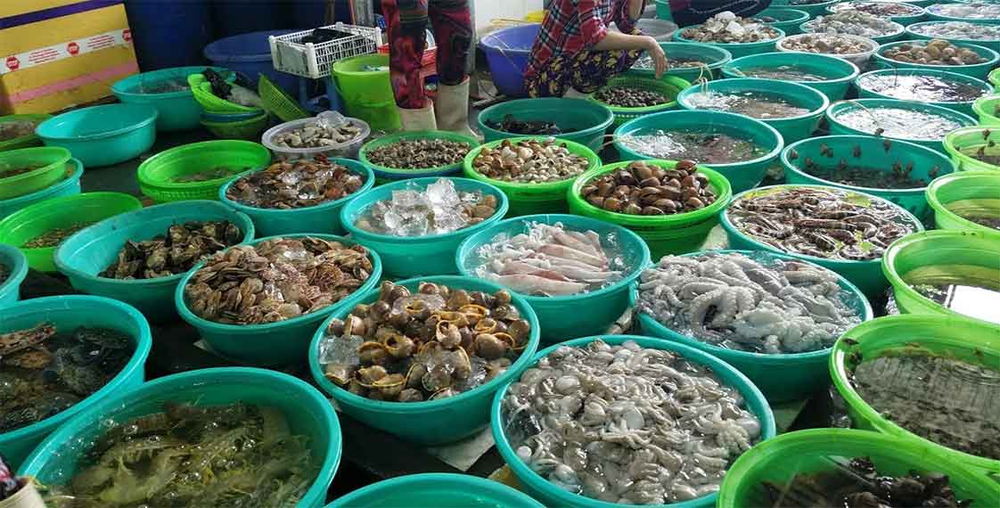 sò ốc tươi sống các loại