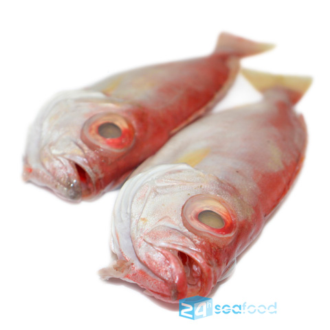 Cá Bã Trầu tại 24h Seafood