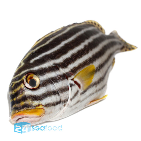 Cá Kẽm Tại 24h Seafood