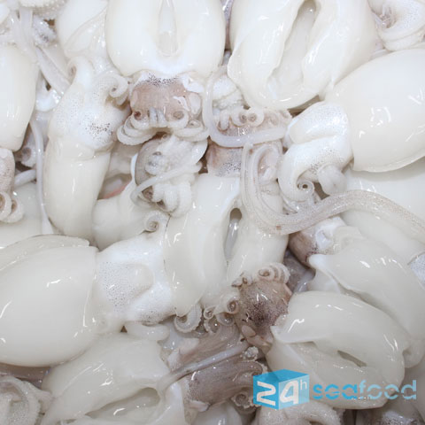 Mực nang nút size 20-40 con/kg tại 24h Seafood