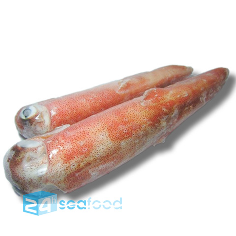 Mực ống đỏ - Mực ống sống - Mực ống đông lạnh xuất khẩu