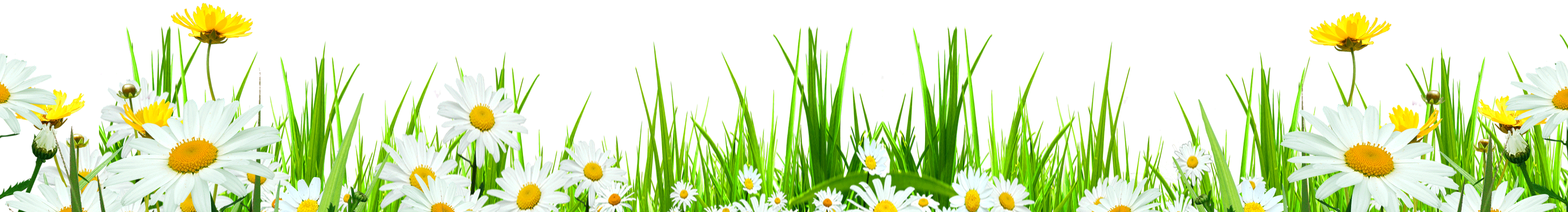 Tại sao chọn chúng tôi?