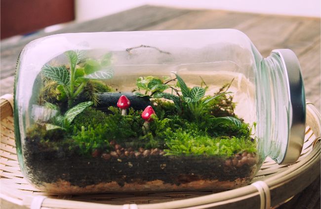 Terrarium kín