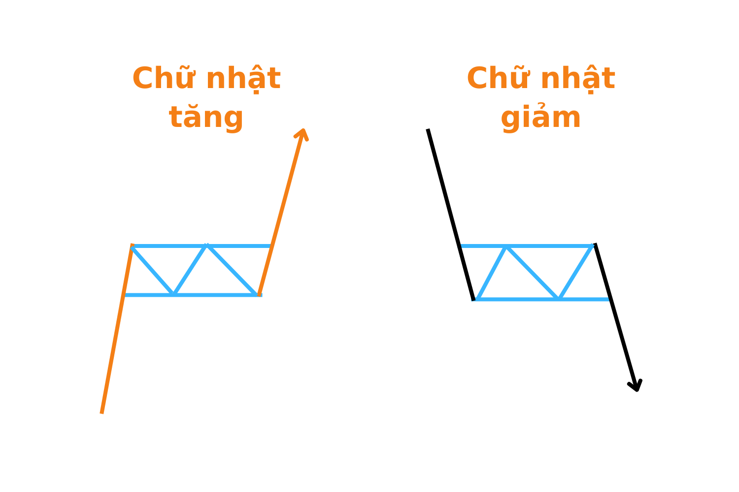 mô hình chữ nhật