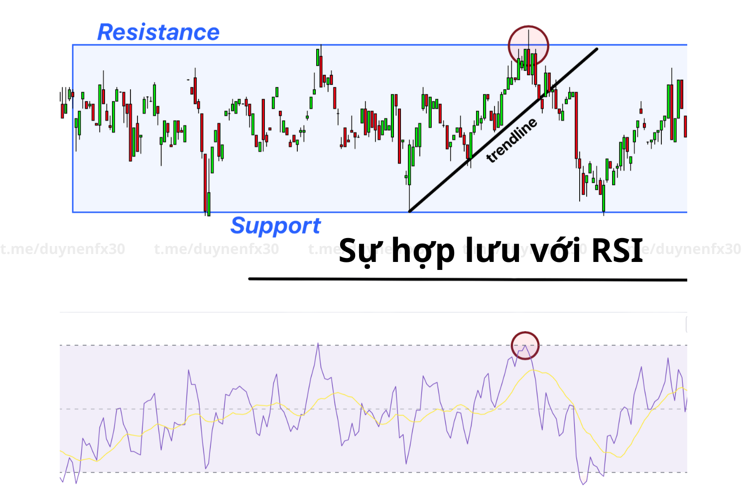 su-hop-luu-voi-rsi