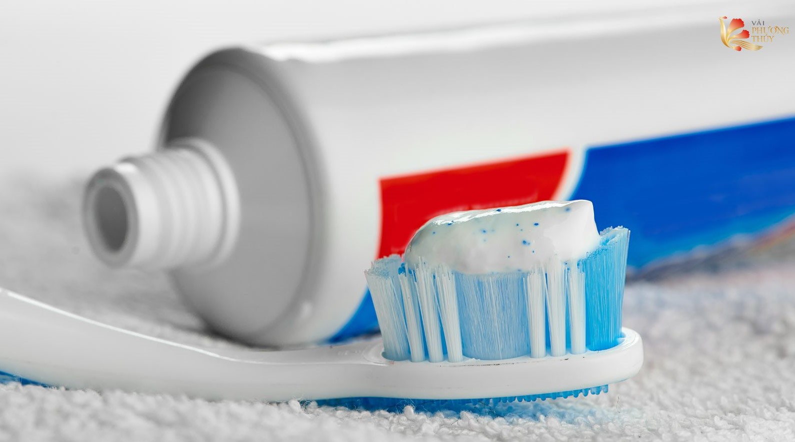 Tẩy vết ổ vàng quần áo trắng bằng kem đánh răng