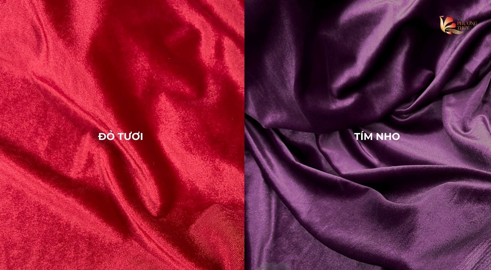 Nhung 7 biên trơn Phượng Thúy