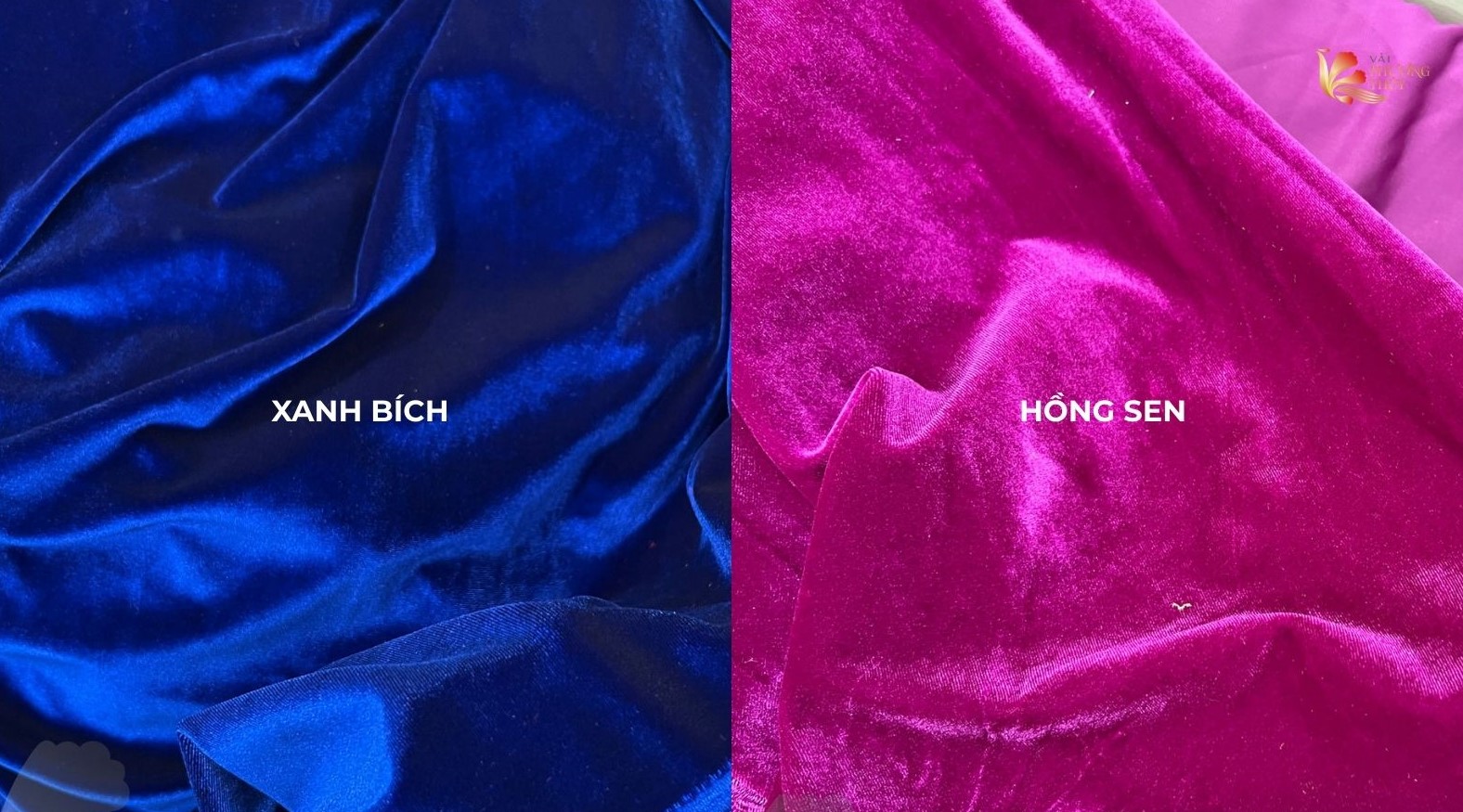 Nhung 7 biên Phượng Thúy