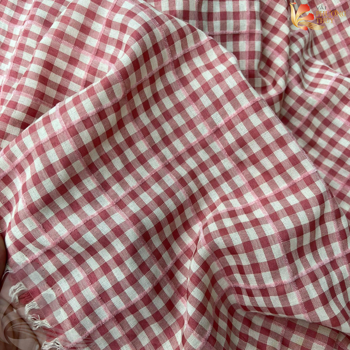 Vải thô cotton Phượng Thúy