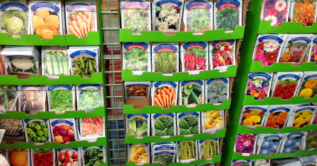 Mua hạt giống rau ở đâu? Hướng dẫn chi tiết mua hạt giống rau Online tại Bác Hai Nông