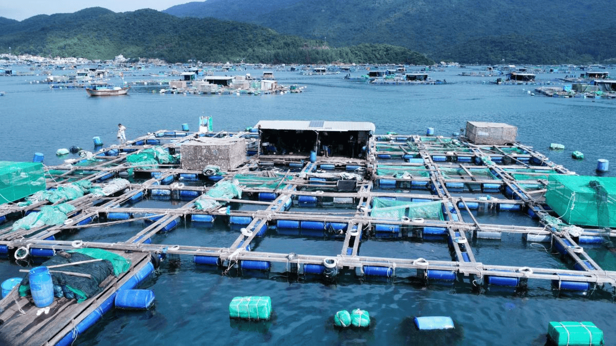 Báo cáo tổng quan ngành Thuỷ sản Việt Nam giai đoạn 2018 - 2023