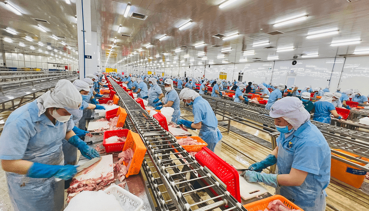 Báo cáo tổng quan ngành Thuỷ sản Việt Nam giai đoạn 2018 - 2023