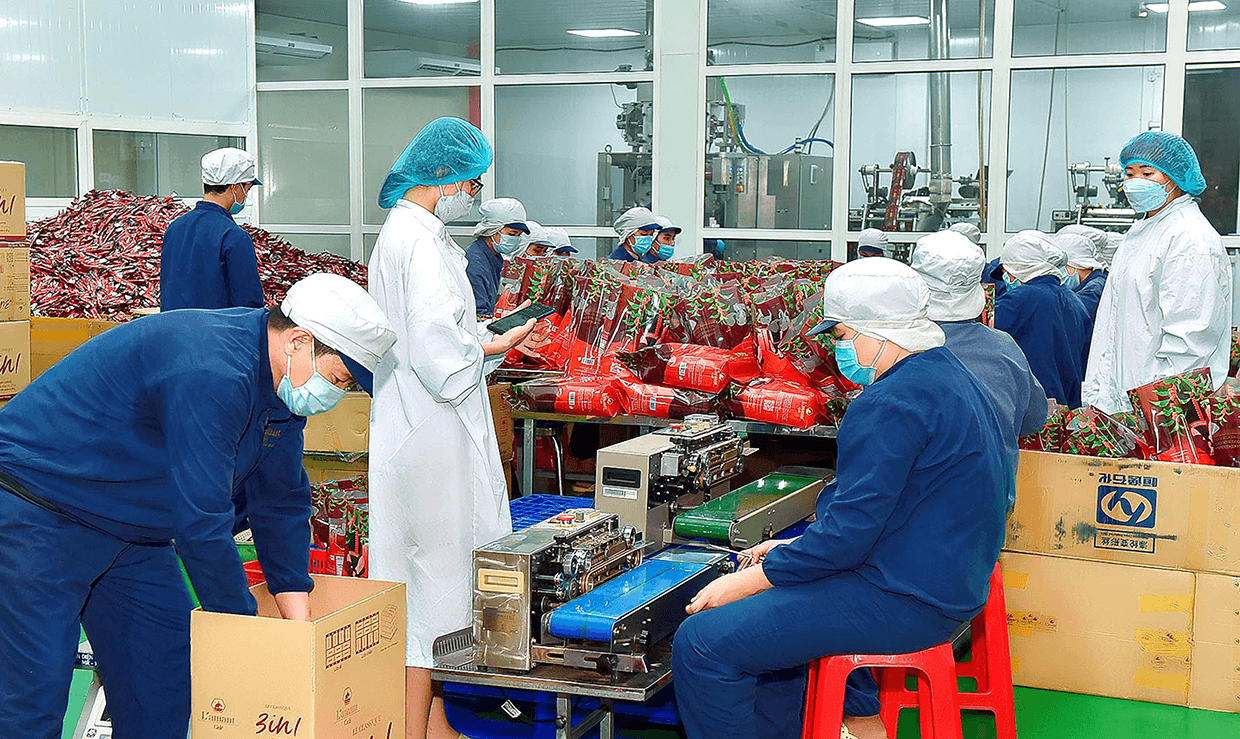 Báo cáo tổng quan xuất khẩu Cà phê Việt Nam 6 tháng đầu năm 2024