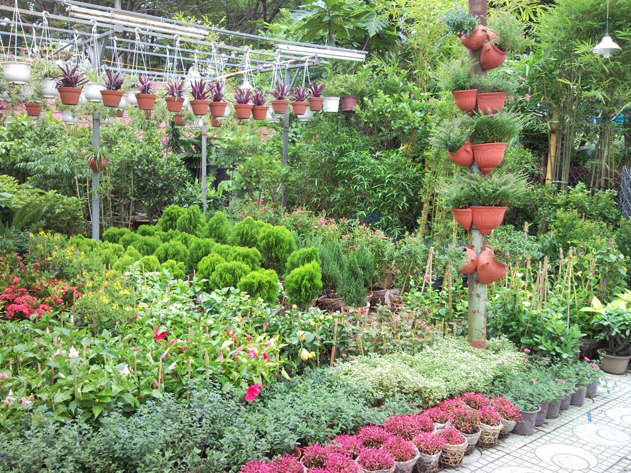 Mua hạt giống rau ở đâu? Hướng dẫn chi tiết mua hạt giống rau Online tại Bác Hai Nông