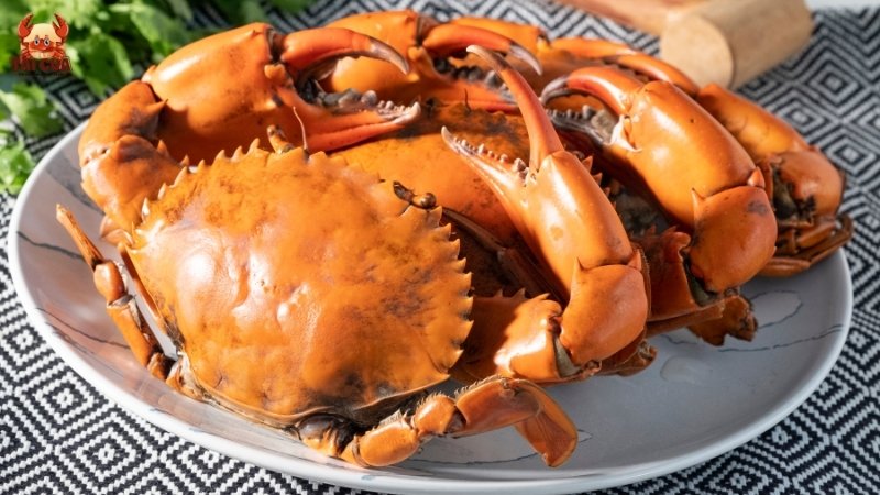 Cách bảo quản cua sau khi đã luộc hấp