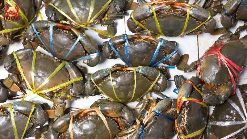 Cách chọn cua biển tươi ngon trước khi bảo quản