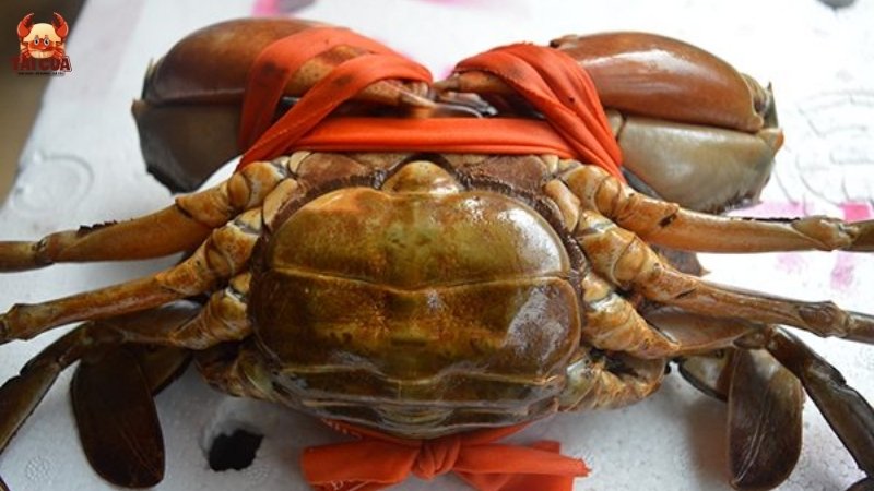 Chọn cua thế nào để có nhiều gạch