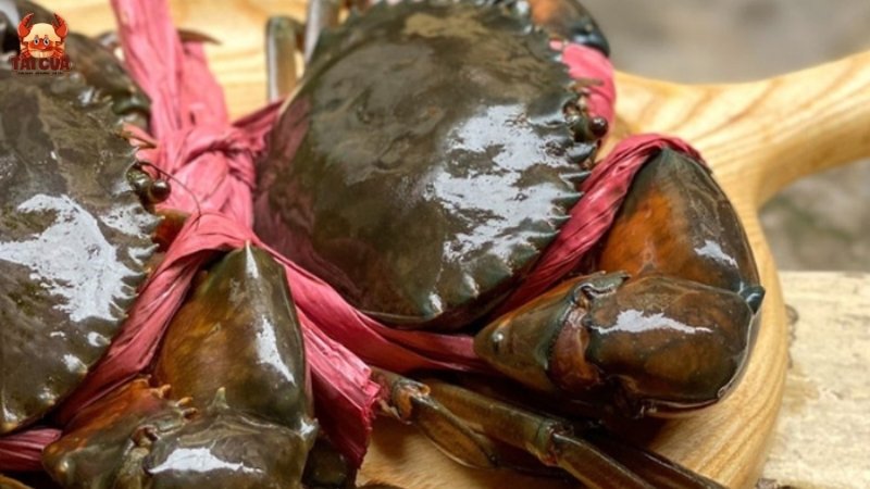 Cách phân biệt cua thịt và cua gạch