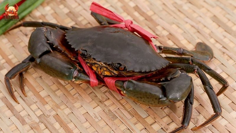 Lợi ích của cua biển đối với sức khỏe