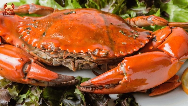 Lý do cua bị gãy càng khi hấp