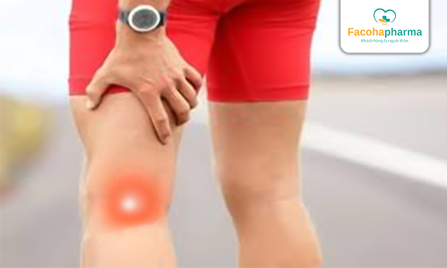 Đau cơ đằng sau đầu gối