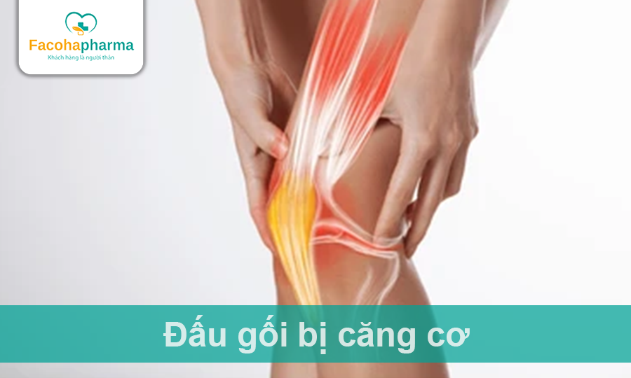 Đầu gối bị căng cơ