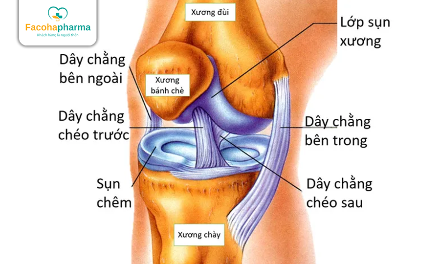 Giãn dây chằng đầu gối
