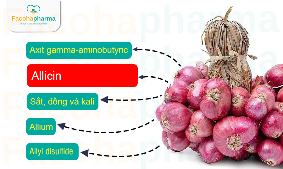 Thành phần trị mụn cóc trong hành tím