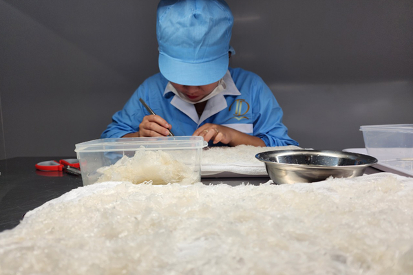 Cong-ty-Thanh-Dung-la-don-vi-dau-tien-tai-Tay-Nguyen-xuat-khau-yen-sao-sang-thi-truong-Trung-Quoc-Anh-:-Quang-Yen